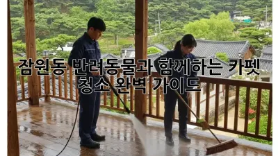 잠원동 반려동물과 함께하는 카펫 청소 완벽 가이드