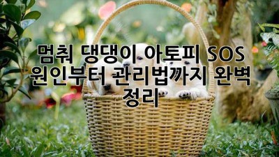 🐶 멈춰! 댕댕이 아토피 SOS🚨 원인부터 관리법까지 완벽 정리!